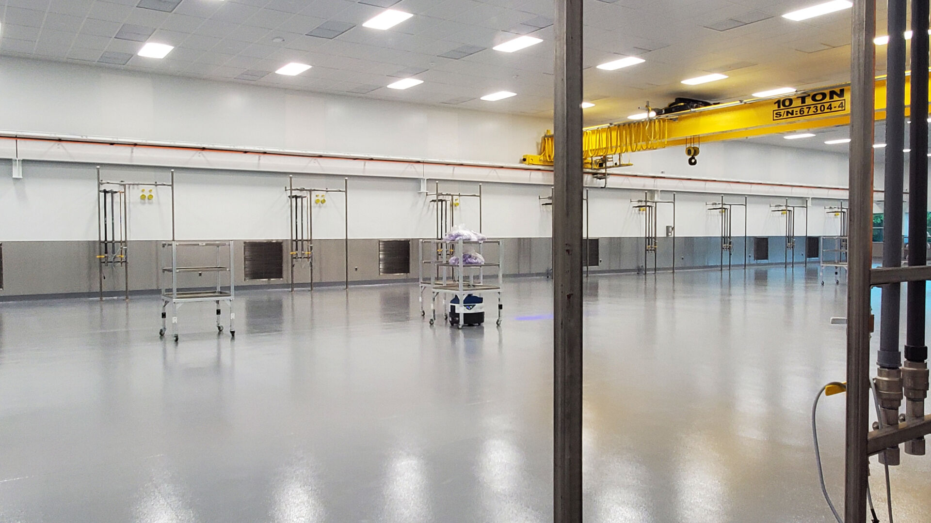 B. Braun expansion